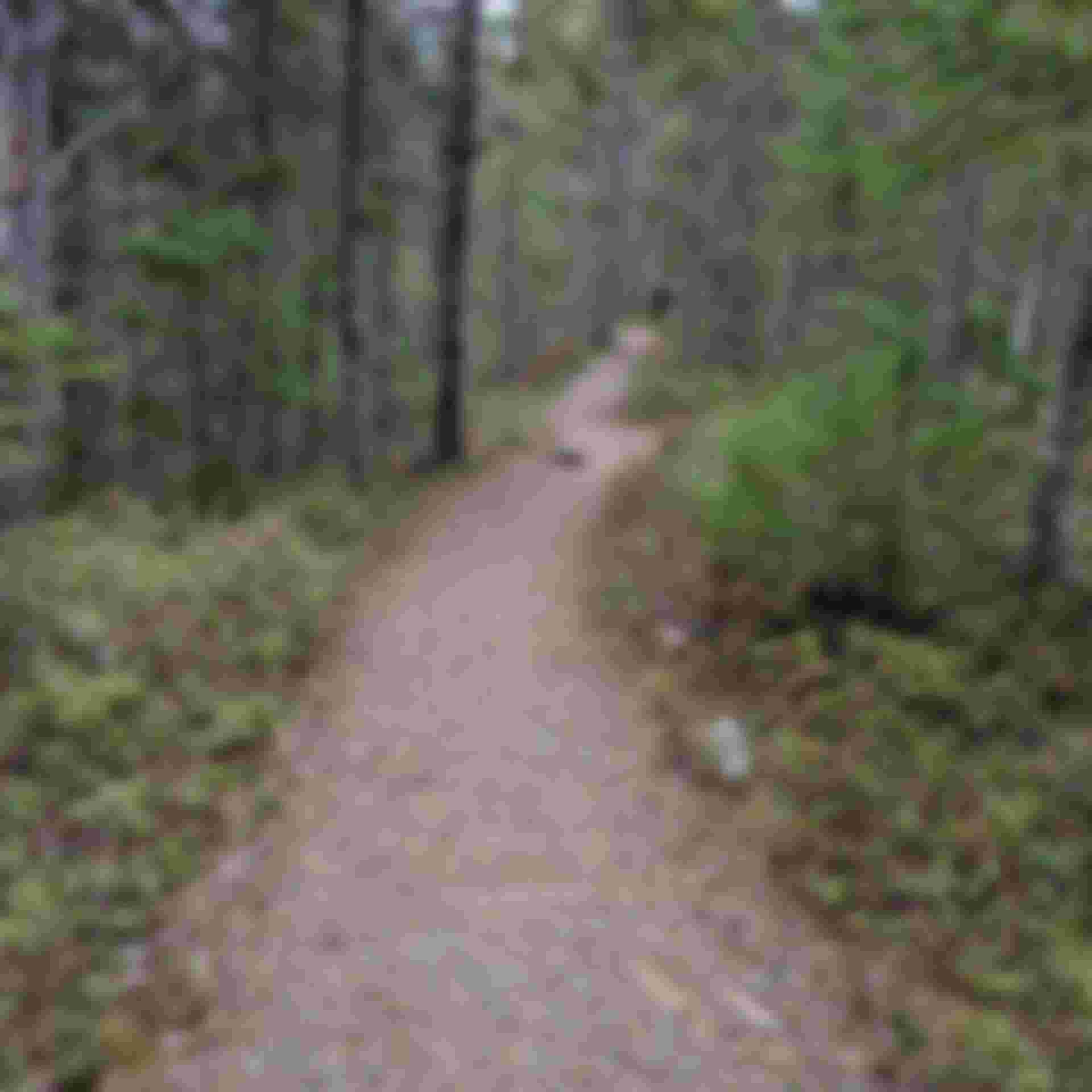 Dobson Crossing Trail