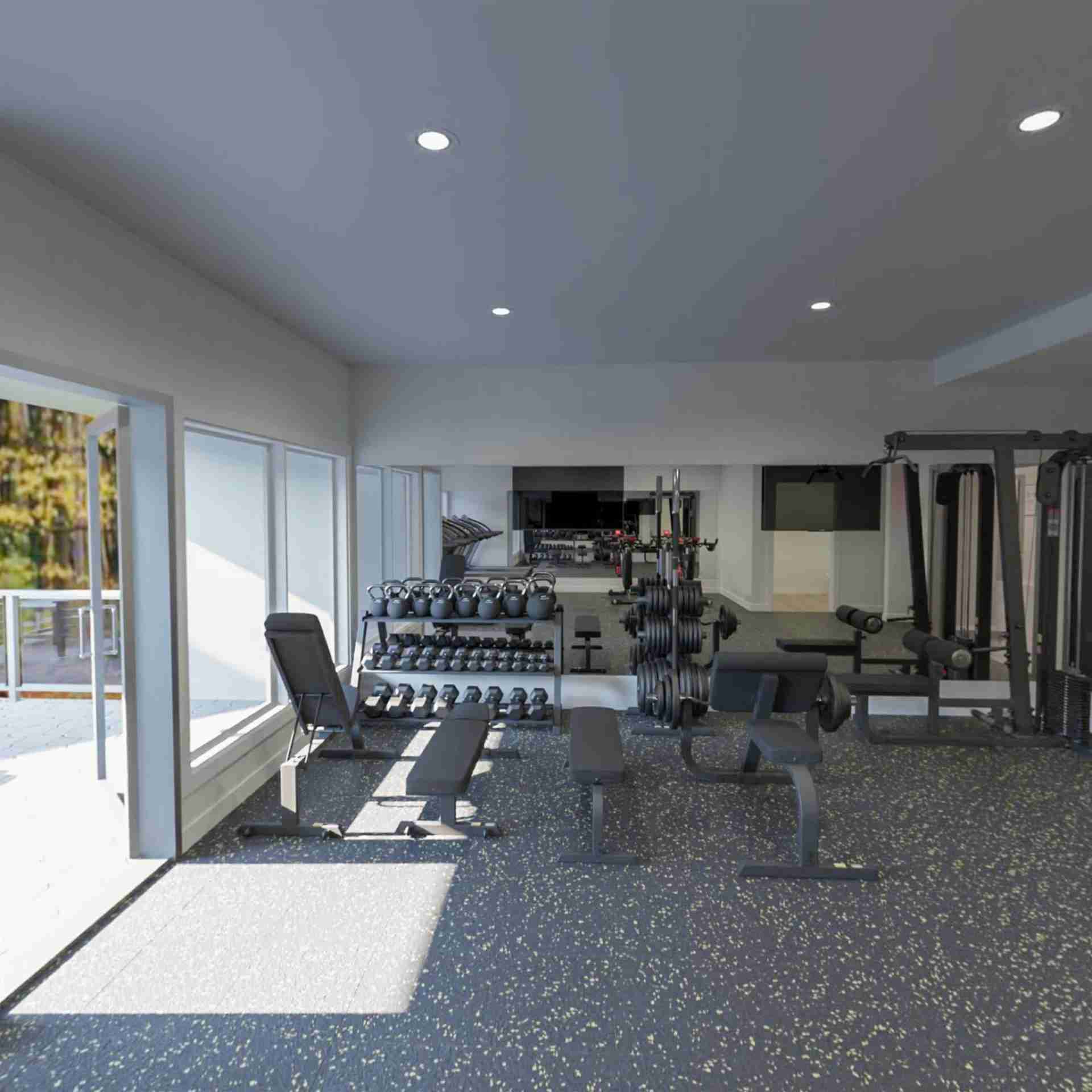 Gallery - rendering-interior-gym-weights