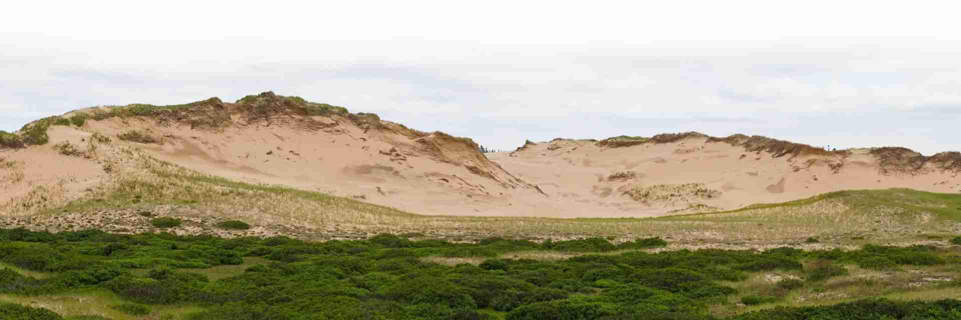 Home - sand-dunes-hills-grass-1