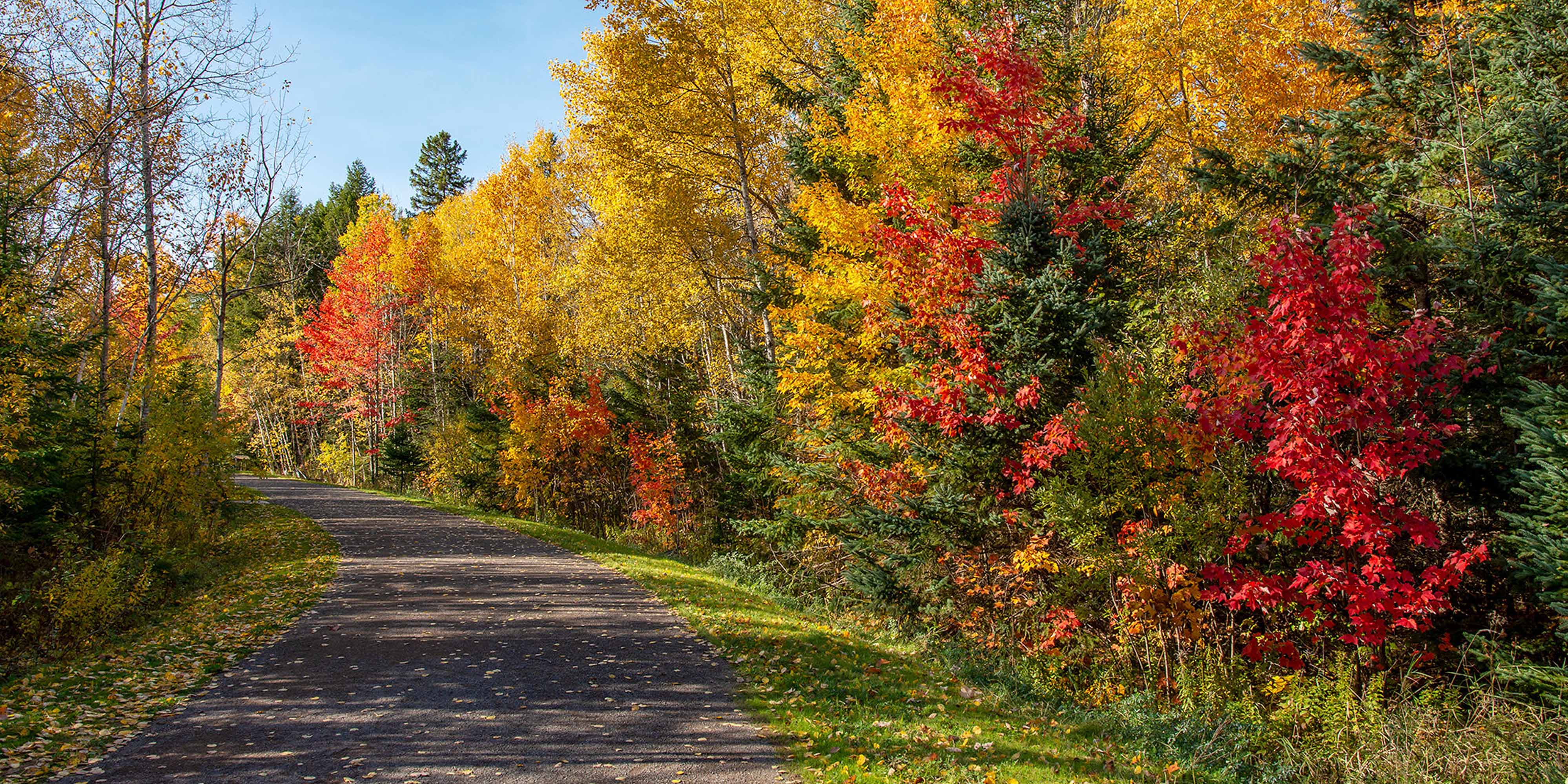 Park Place - West Royalty Suites